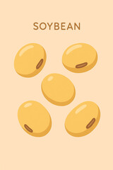 vector illustration of soybean seeds