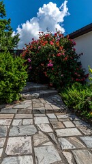 Garden path with colorful flowers