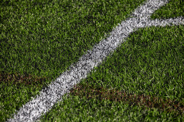 Artificial pitch line