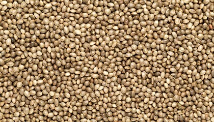 Fototapeta premium Hemp seeds background and textur 969647 OmR
