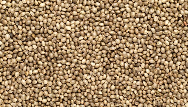 Hemp seeds background and textur 969647 OmR