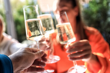 Friends with glasses of wine clink glasses holiday, a group of people abstract blurred background