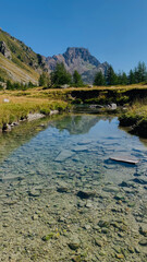 Beautiful mountain landscape with a small river and woods of larches in Val Buscagna, in the Alpe Devero National Park, Piedmont, Italy. Vertical photo. 