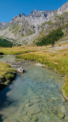 Beautiful mountain landscape with a small river and woods of larches in Val Buscagna, in the Alpe Devero National Park, Piedmont, Italy. Vertical photo. 