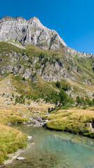 Beautiful mountain landscape with a small river and woods of larches in Val Buscagna, in the Alpe Devero National Park, Piedmont, Italy. Vertical photo. 