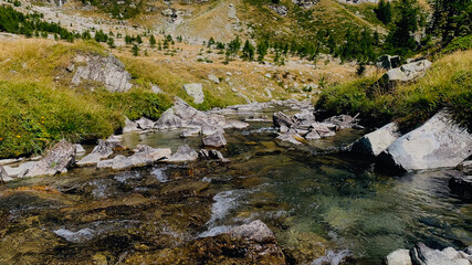Beautiful mountain landscape with a small river and woods of larches in Val Buscagna, in the Alpe Devero National Park, Piedmont, Italy