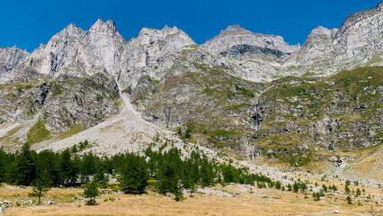 Beautiful mountain landscape with green pastures, meadows and woods of larches in Val Buscagna, in the Alpe Devero National Park, Piedmont, Italy.