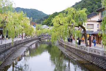 城崎温泉の有名スポット城崎温泉街柳並木
