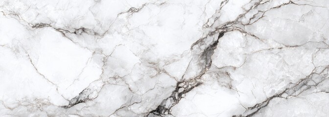 Obraz premium Abstract marble texture, white and gray veining (1)