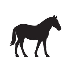 Sardinian Wild Horse Vector Silhouette