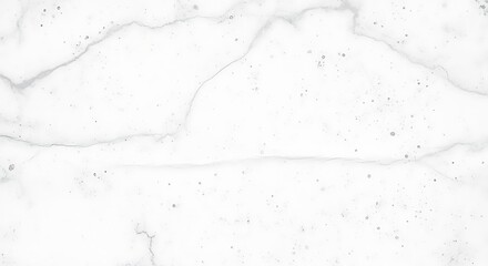 Obraz premium Detailed White Marble Texture with Subtle Veins and Imperfections, Abstract Background.