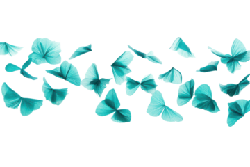 A swarm of teal butterflies in flight isolated on transparent background.