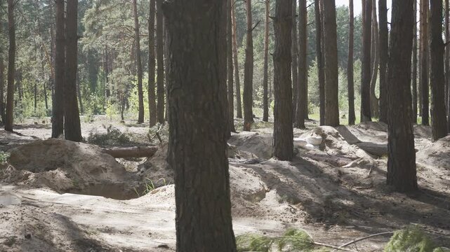Bucha, Ukraine - 05 15 2022: Military fortification under trees for Ukrainian soldiers during the Russian-Ukrainian war. Sand defensive trenches locating in Kyiv region in forest.