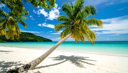 Fototapeta premium Idyllic Tropical Beach Scene: Lush Palm Tree Leaning Over Pristine White Sand, Turquoise Ocean, Sunny Sky, Vacation Paradise.