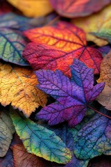 Vibrant autumn leaves in a colorful array.  Close-up view of various hues of fall foliage