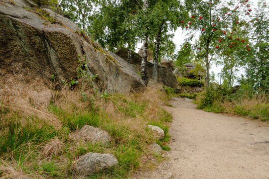 Ein schmaler Wanderweg schl&auml;ngelt sich an gewaltigen Felsen vorbei, umrahmt von Birken und Vogelbeeren. Hier zeigt der Harz seine wilde, urspr&uuml;ngliche Sch&ouml;nheit und l&auml;dt zu Entdeckungen ein.