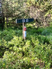 Hiking Trial Skogsvåg Sotra Øygarden Bergen Norway
