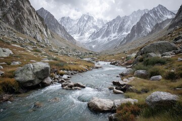 Fototapeta premium Mountain stream flowing through a valley under a cloudy sky