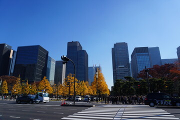 Tokyo 001
