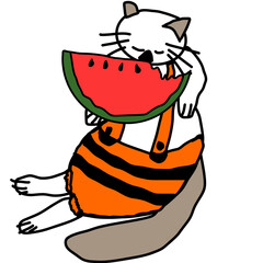 cat eating watermelon