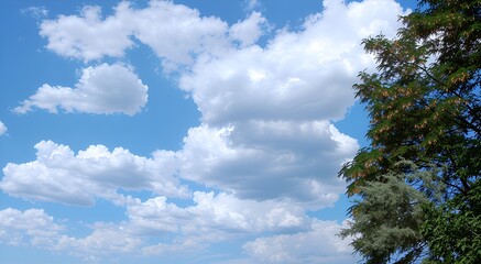 The blue sky is covered with snow-white clouds. They float, change shape, sometimes resembling fluffy animals. Part of the tree crown, which seems to embrace the edge of the photo