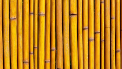 Fototapeta premium The Golden Bamboo Forest presents a breathtakingly serene landscape of radiant yellow bamboo stalks in a tranquil Asian forest, where the soft interplay of light and botanical elegance embodies the
