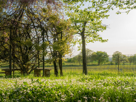 Tuscany, Italy - 23 April 2025: View of a tranquil, sun-drenched meadow speckled with daisies, framed by the dark wrought iron fence and the vibrant green trees.