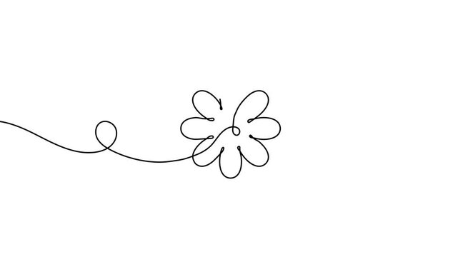 Animation of a single line drawing of a flower. Continuous contour movement of a flower. Continuous video with one line.