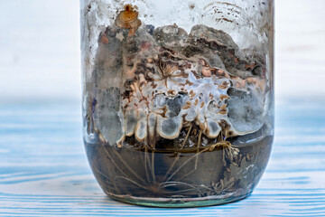 This image shows a glass jar filled with a substance that appears to be a mixture of dirt rocks and...