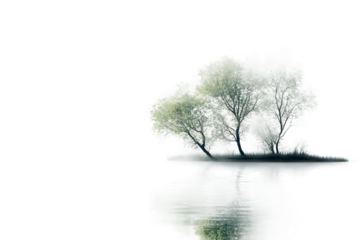 Peaceful lake isolated on transparent background