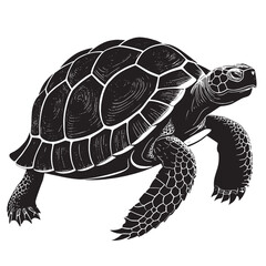 Fototapeta premium black desert tortoise Silhouette Vector, High Quality Illustration on White Background