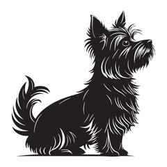 black yorkshire terrier Silhouette Vector, High Quality Illustration on White Background