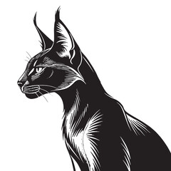 black caracal Silhouette Vector, High Quality Illustration on White Background