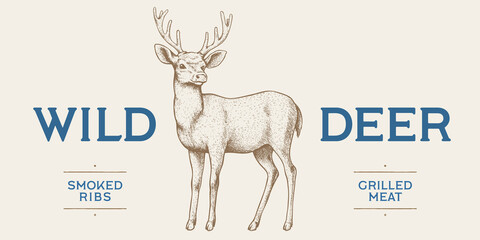Deer. Hand drawn deer, stag, buck. Vintage retro print, black white deer, stag, buck, sketch ink pencil style drawing, engrave. Sketch artwork silhouette head deer, stag, buck. Vector Illustration