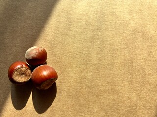 Three Hazelnuts with Long Shadows on Warm Paper with Copy Space