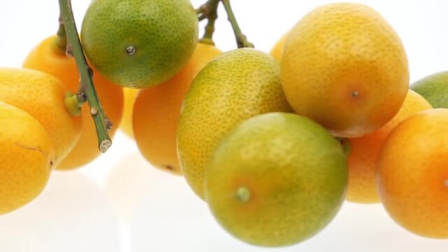 fruits on a white background