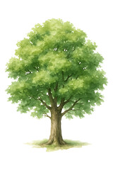Green Tree Watercolor High quality Realistic image