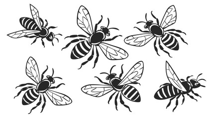 A collection of six stylized black and white bee illustrations in various flying poses on a white background