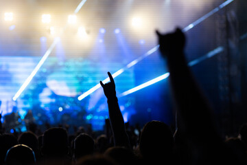 crowd having fun at concert summer music festival