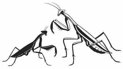 Two stylized black and white praying mantises in silhouette pose against a white background
