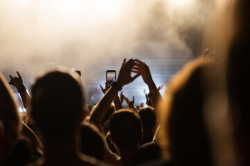 crowd having fun at concert summer music festival