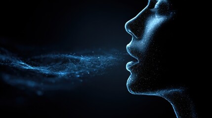 Voice recognition privacy protects unique biometric traits, securing stored voiceprints from exploitation, fraud, or invasive surveillance.
