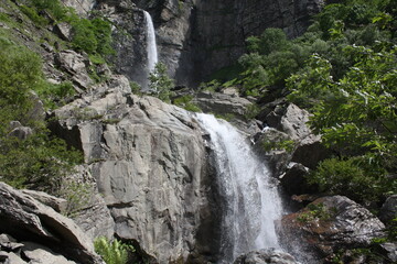 Obraz premium waterfall in the forest