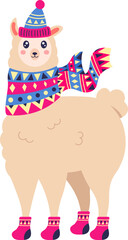 Charming llama is wearing a colorful winter outfit, complete with a knitted hat, a patterned scarf, and warm socks, creating a heartwarming and festive scene