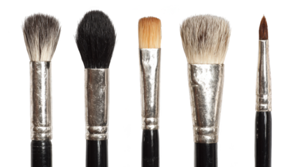 A professionally arranged collection of various paintbrushes showcasing a wide array of bristle types handle lengths and ferrule finishes ready for creative use in a studio setting.