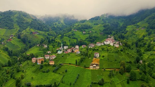 Low clouds covering the green hills and tea plantations surrounding a mosque and traditional houses in Camlihemin valley, Rize province, Black Sea region, Turkiye