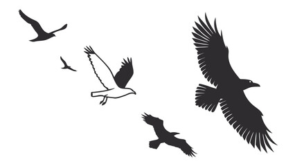 Obraz premium Graphic Vector SVG Blank Minimalist Design Empty Canvas Light Gray