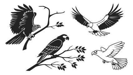 Obraz premium Background Vector SVG Design Empty Canvas Minimalist Style Monochrome Light Gray