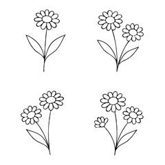 Chamomile Plants illustration, Daisy herbs Set. Line art Meadow flowers and Buds Drawing Outline Calendula stems, Aster leaves. Elegant Floral elements Hand Drawn Botanical. 
