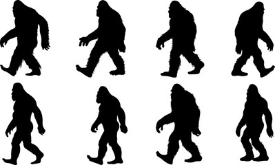 Silhouettes of Sasquatch: A Walk Through Myth and Mystery